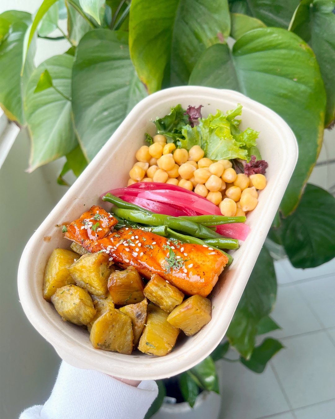 A human holding an oblong molded fiber container with salad and fish in front of a monstera plant. - Dogfish Packaging